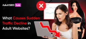 What Causes Sudden Traffic Decline in Adult Websites