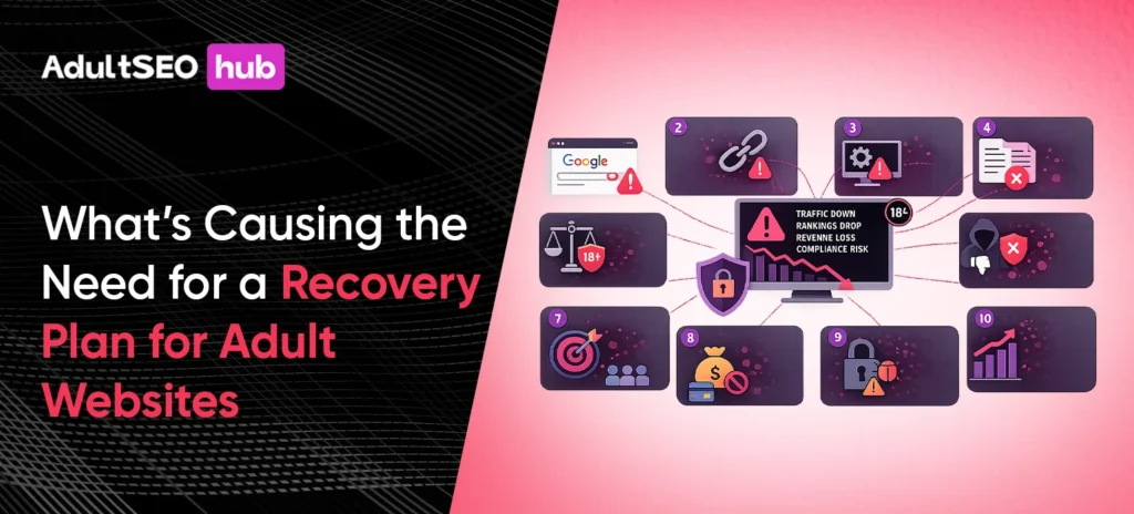 What’s Causing the Need for a Recovery Plan for Adult Websites