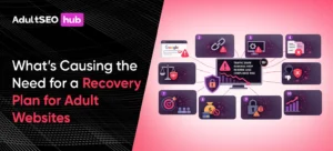 What’s Causing the Need for a Recovery Plan for Adult Websites