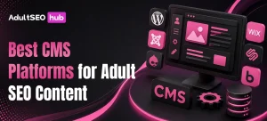 Best CMS Platforms for Adult SEO Content