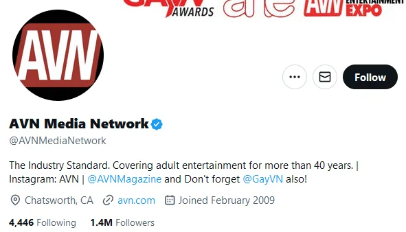 AVN Media Network