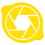 Lemoncams 